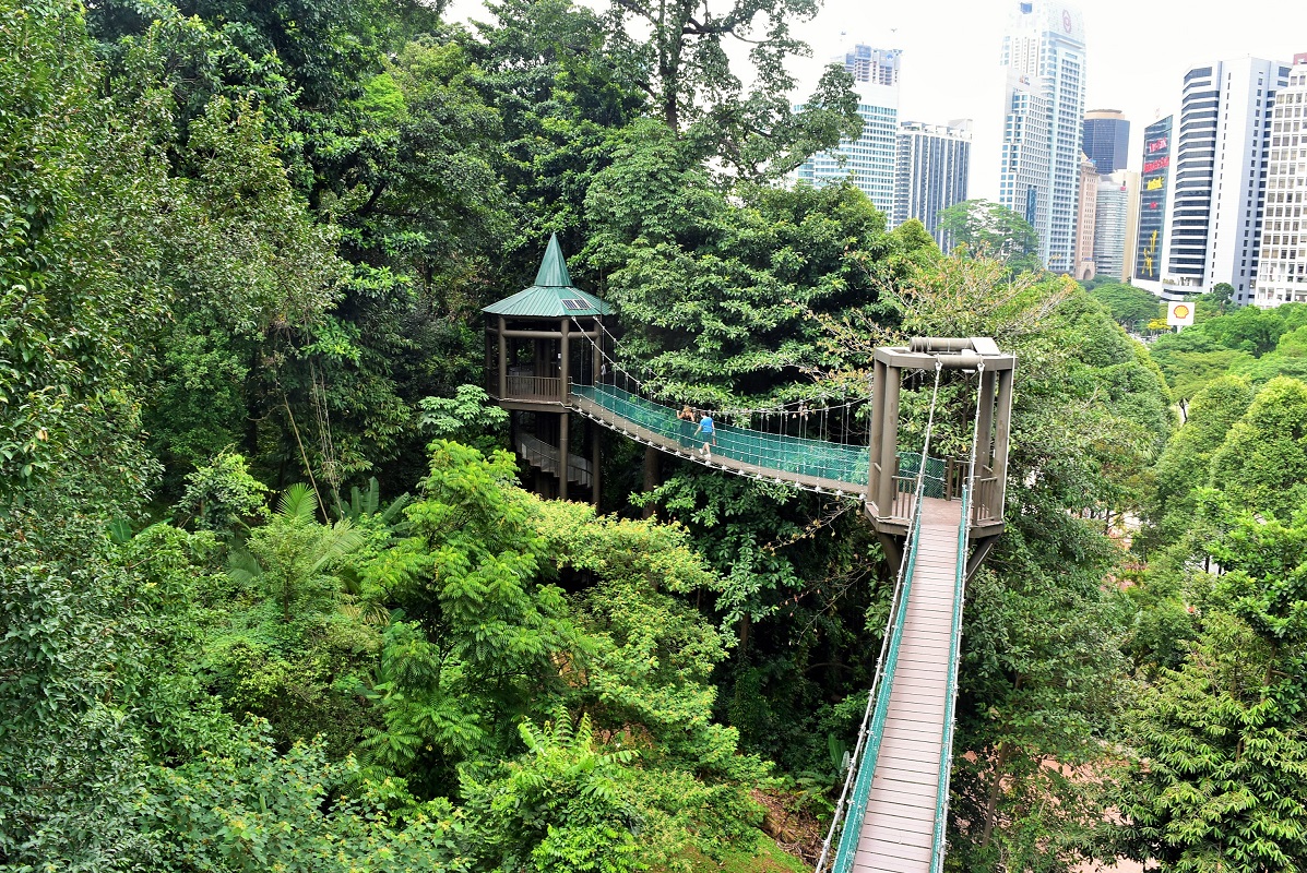 Kuala-Lumpur-KL-Forest-ECO-park